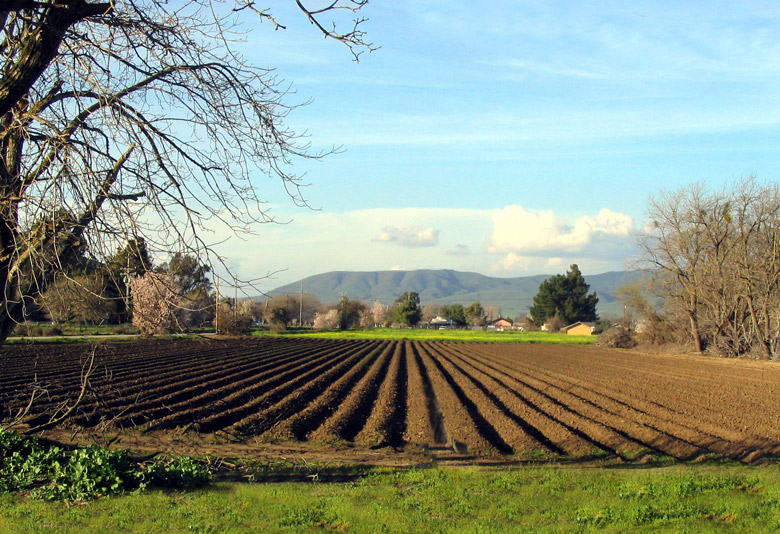 risques-agricoles