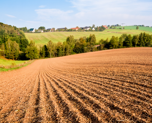 exploitation_agricole