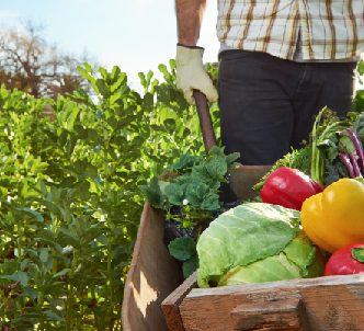 Risques Agricoles