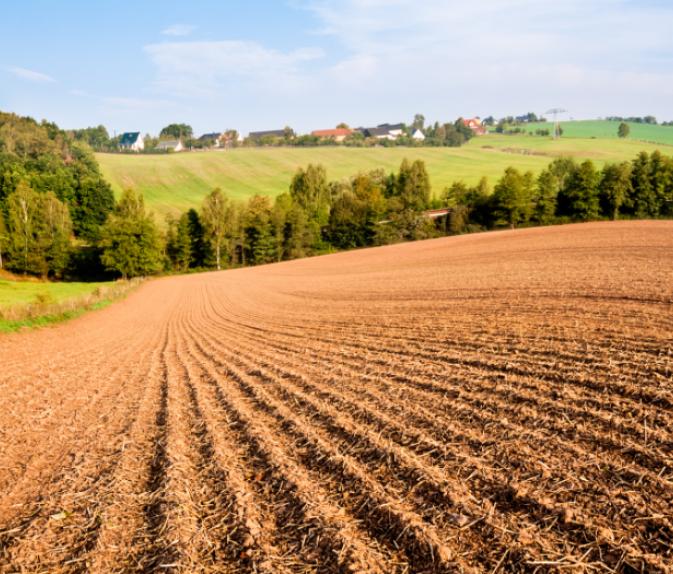 exploitation_agricole